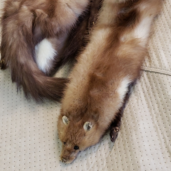 Mink stole - Picture 3 of 3